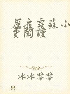 厉夜霆苏小汐免费阅读