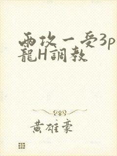 两攻一受3p双龙H调教