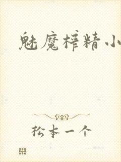 魅魔榨精小说