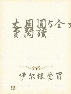 大团圆5全文免费阅读