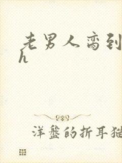 老男人脔到她哭h