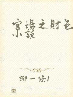 官场之财色诱人小说