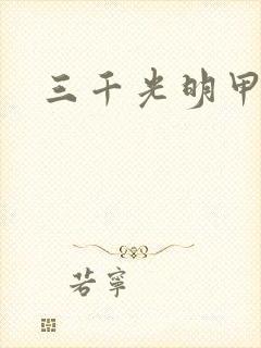 三千光明甲