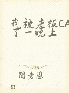 我被老板CAO了一晚上