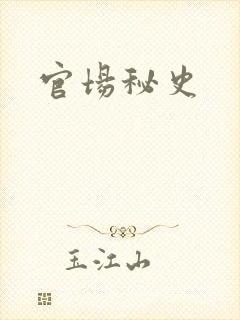 官场秘史