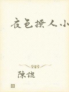 夜色撩人小说