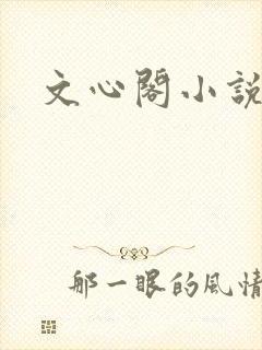 文心阁小说
