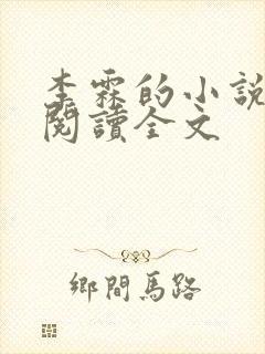 李霖的小说免费阅读全文