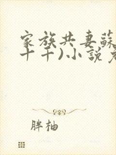 家族共妻苏苏(十千)小说免费