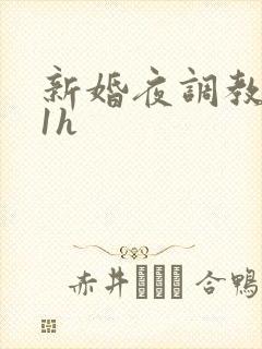 新婚夜调教1v1h