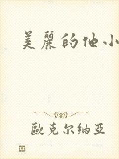 美丽的他小说