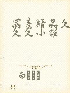 国产精品久久久久久小说