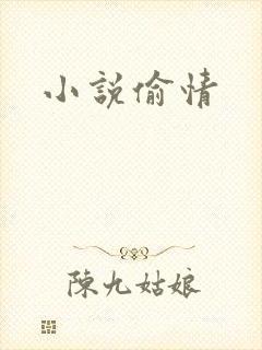 小说偷情