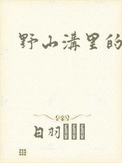 野山沟里的村庄