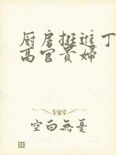 厨房挺进丁字裤高官贵妇