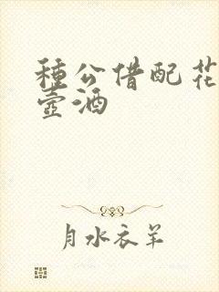 种公借配花间一壶酒