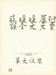 苏暖暖厉衍琛小说全文免费阅读