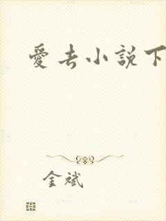 爱去小说下载网