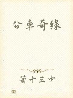 公车奇缘