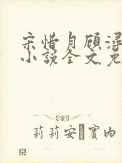 宋惜月顾浔渊的小说全文免费阅读