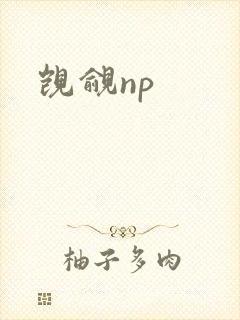 觊觎np