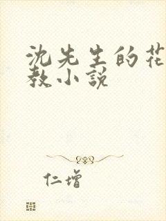 沈先生的花式调教小说