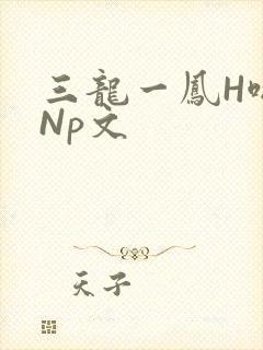 三龙一凤H啪肉Np文