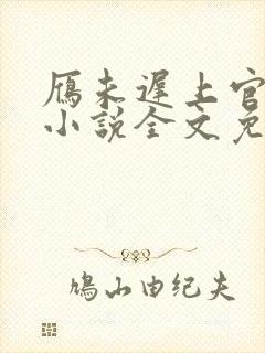 雁未迟上官穿越小说全文免费阅读