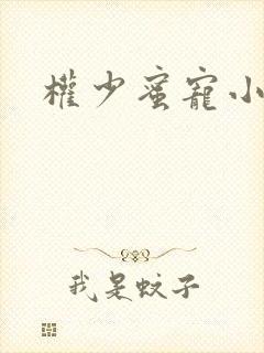 权少蜜宠小娇妻