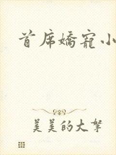 首席娇宠小情人