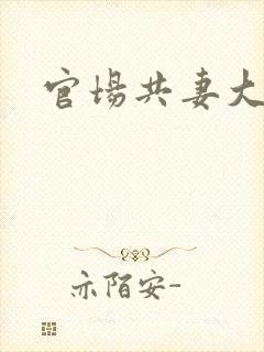 官场共妻大交换