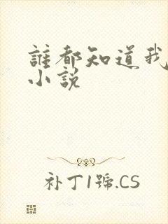 谁都知道我爱你小说