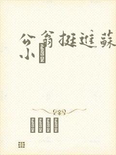 公翁挺进苏玥的小泬