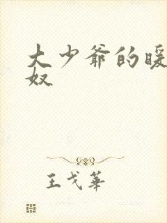 大少爷的暖床小奴