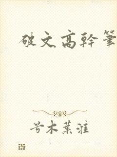 破文高干笔趣阁