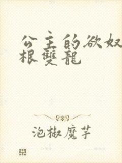 公主的欲奴h四根双龙