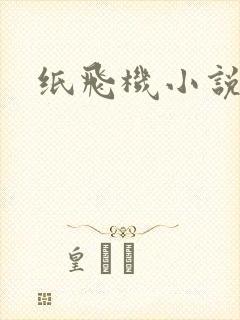 纸飞机小说