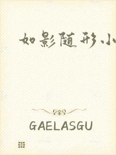 如影随形小说