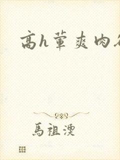 高h荤爽肉欲文