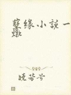 孽缘小说一家乱炖