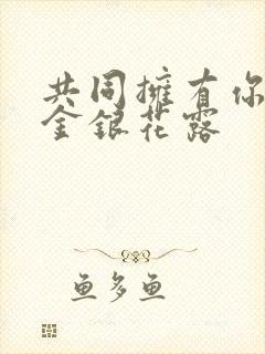 共同拥有你by金银花露