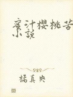 蜜汁樱桃苦咖啡小说