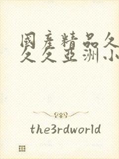 国产精品久久久久久亚洲小说