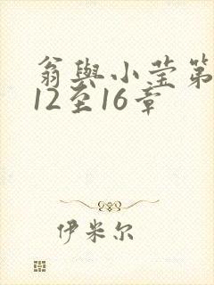 翁与小莹第十部12至16章