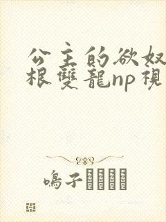 公主的欲奴h四根双龙np视频