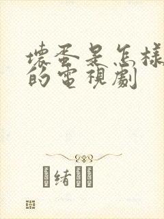 坏蛋是怎样炼成的电视剧