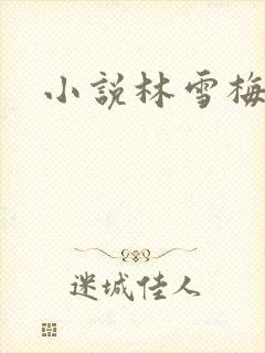 小说林雪梅