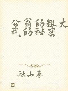 公翁的粗大放进我的秘密