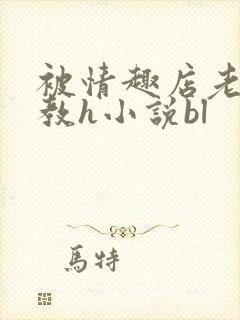 被情趣店老板调教h小说bl