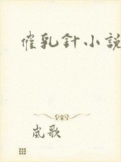 催乳针小说